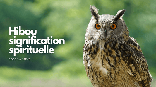 Hibou signification spirituelle