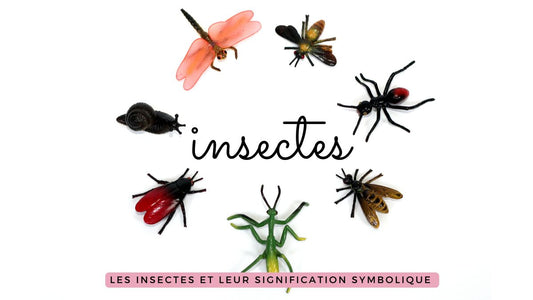 Quels sont les 30 principaux insectes et leur signification symbolique et spirituelle en 3 mots?