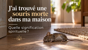 J'ai trouvé une souris morte dans ma maison: quelle signification spirituelle?