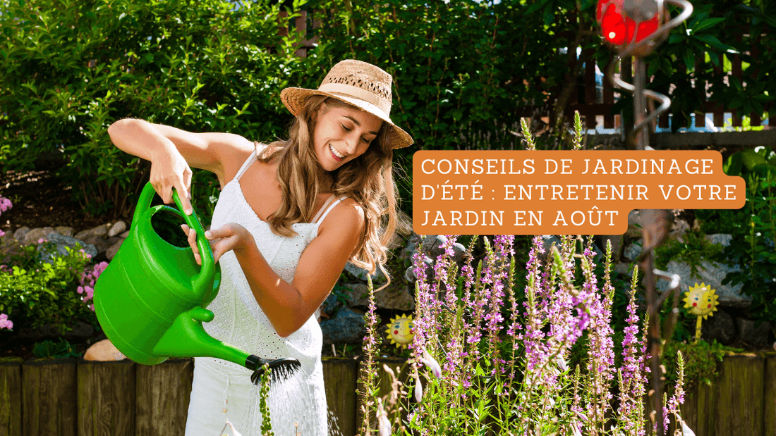 Conseils de jardinage d'été : entretenir votre jardin en août