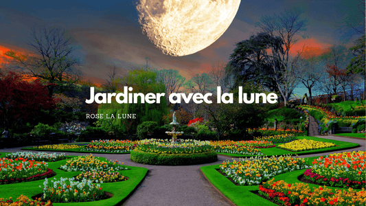 Jardiner avec la lune