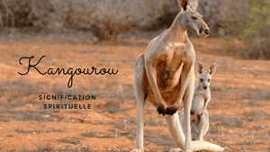 Kangourou signification spirituelle