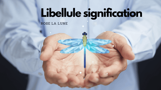 Libellule signification