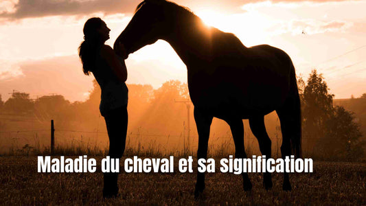 Maladie du cheval et ses significations