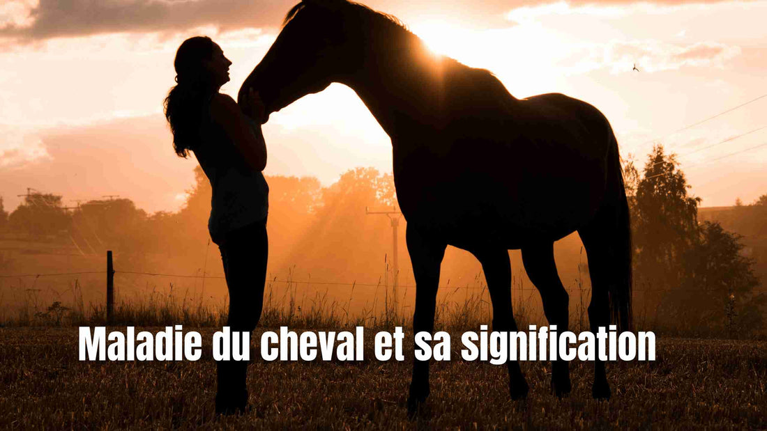 Maladie du cheval et ses significations