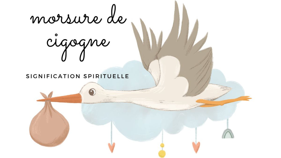 Morsure de cigogne signification spirituelle