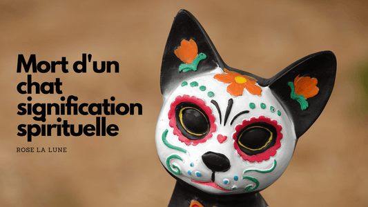 Mort d'un chat signification spirituelle