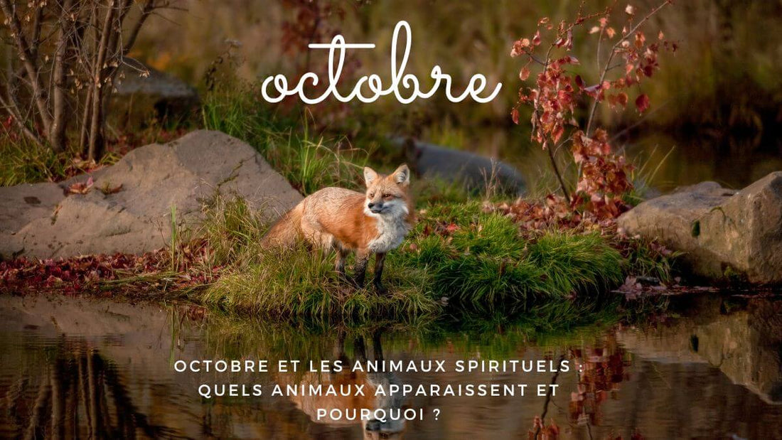 Octobre et les animaux spirituels : quels animaux apparaissent et pourquoi ?