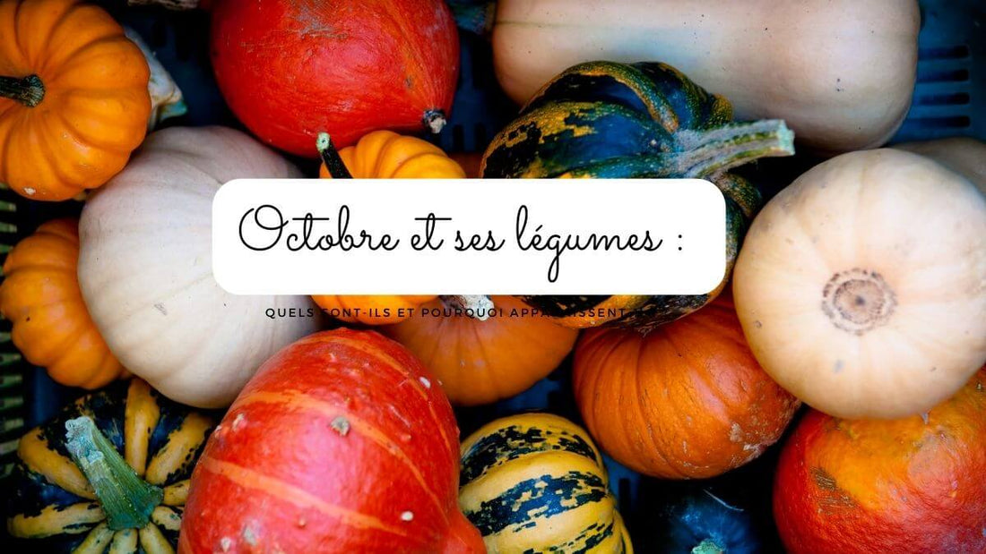 Octobre et ses légumes : quels sont-ils et pourquoi apparaissent-ils ?