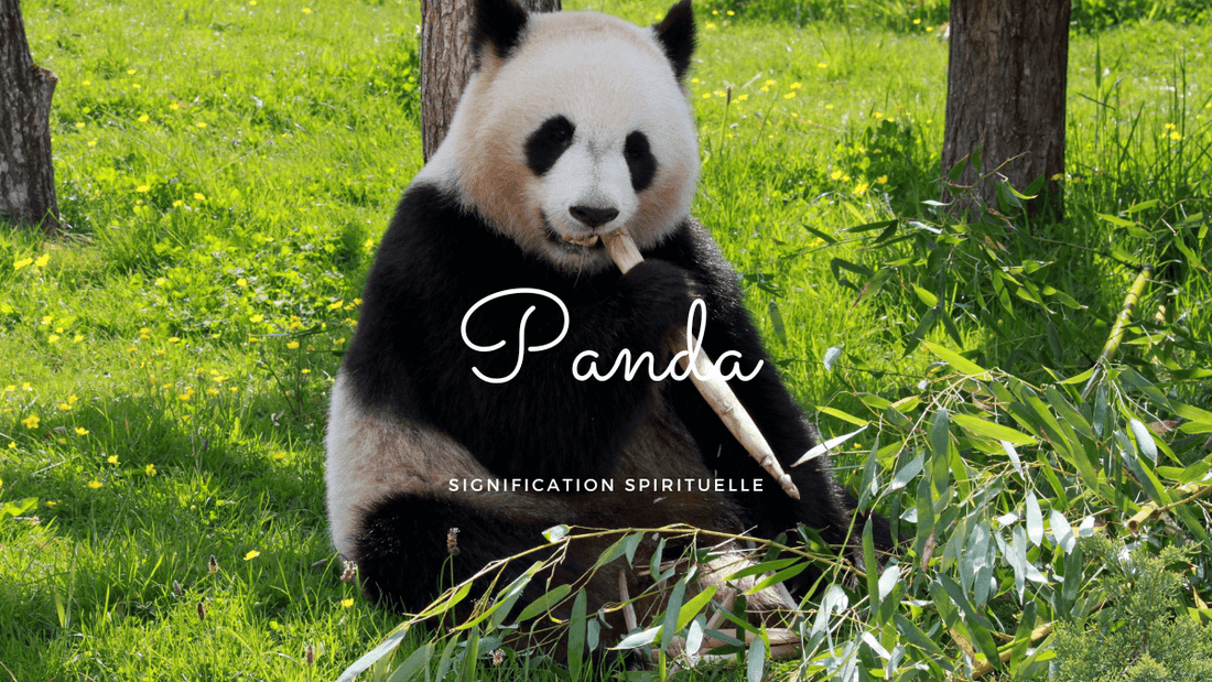 Signification spirituelle panda