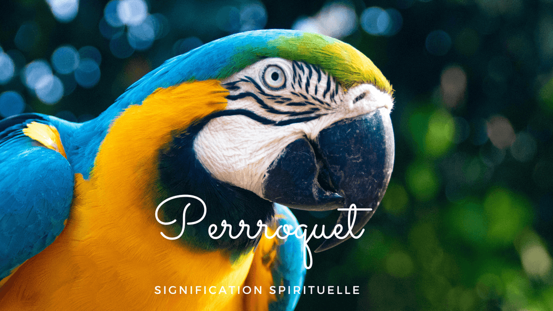 Perroquet signification spirituelle