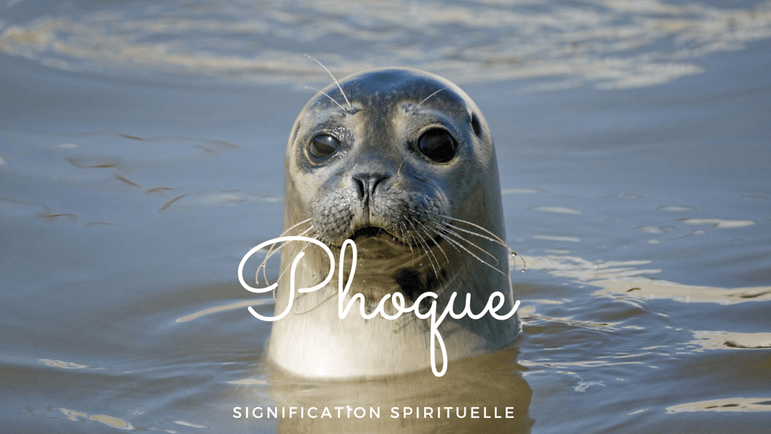 Phoque signification spirituelle