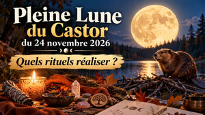 Pleine Lune du Castor du 24 novembre 2026 : quels rituels réaliser ?