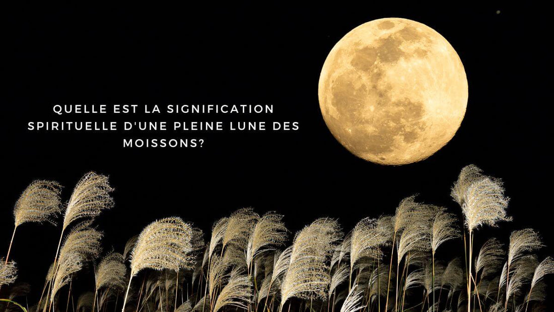 Quelle est la signification spirituelle d'une Pleine Lune des Moissons?