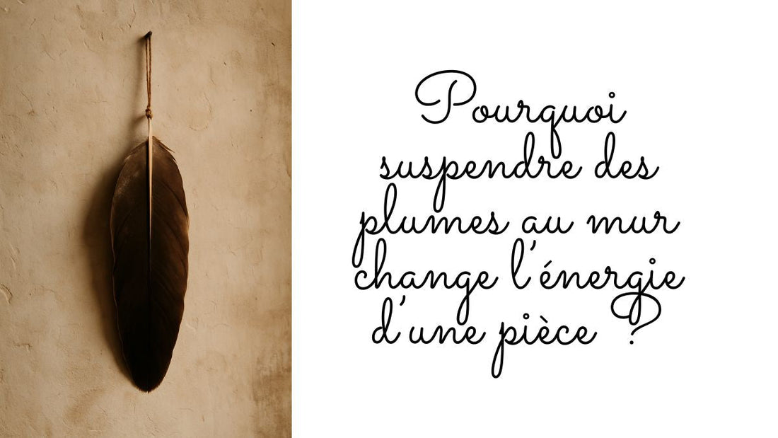 Plume brune suspendue à un mur en plâtre, déco murale spirituelle et minimaliste