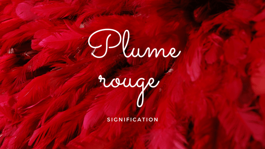 Plume rouge signification spirituelle