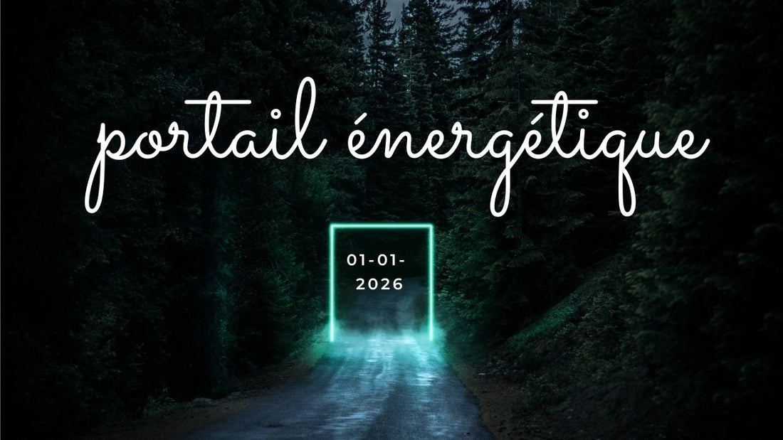 Portail énergétique du 1er janvier 2026 : comment en profiter pour une nouvelle énergie ?