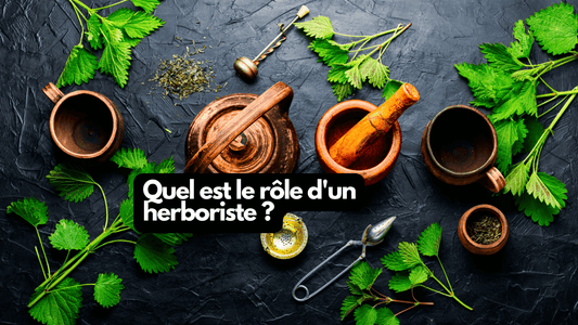 Quel est le rôle d'un herboriste ?