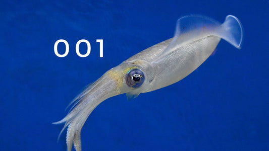 Qui est le numéro 1 dans Squid Game? Signification et symbolique du chiffre