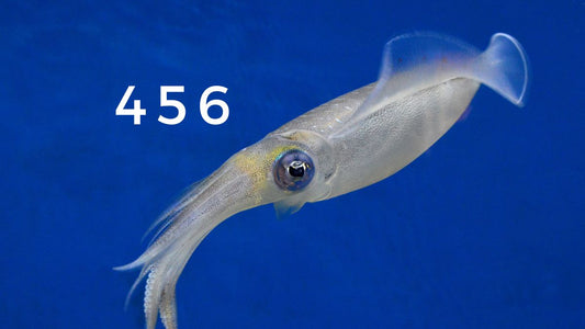 Qui est le numero 456 dans Squid Game? Signification et symbolique du nombre