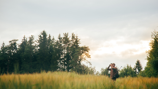 Rêve de chasse: signification et interprétation