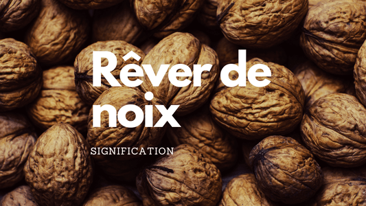 Rêver de noix: quelle signification?