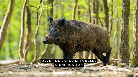 Que signifie rêver d'un sanglier?