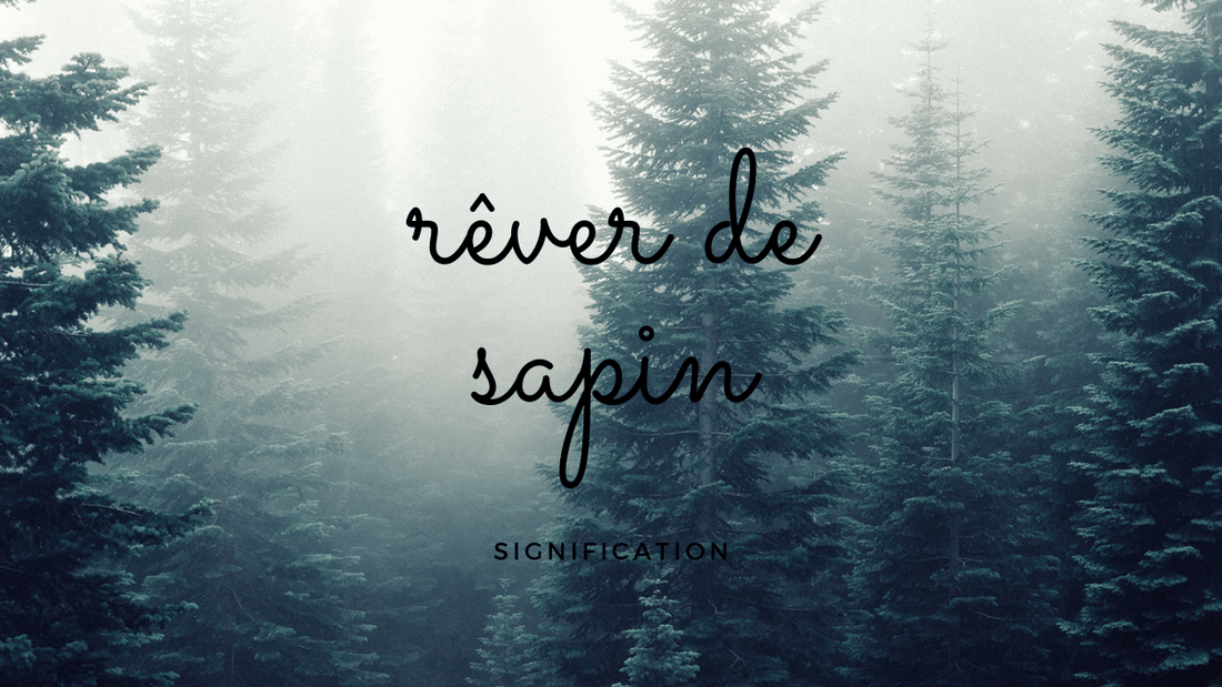 Rêver de sapin: quelles significations?