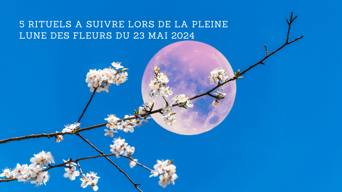 5 rituels a suivre lors de la Pleine Lune des Fleurs du 23 mai 2024