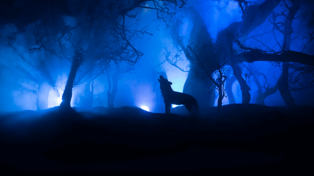 Jeu du Loup Garou: comment se distribuer les rôles?