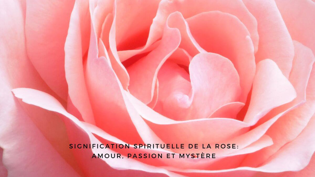 Signification spirituelle de la rose: amour, passion et mystère