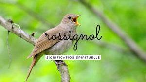 Rossignol signification spirituelle