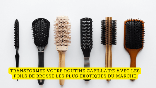 Transformez votre routine capillaire avec les poils de brosse les plus exotiques du marché