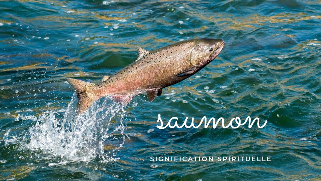 Saumon signification spirituelle