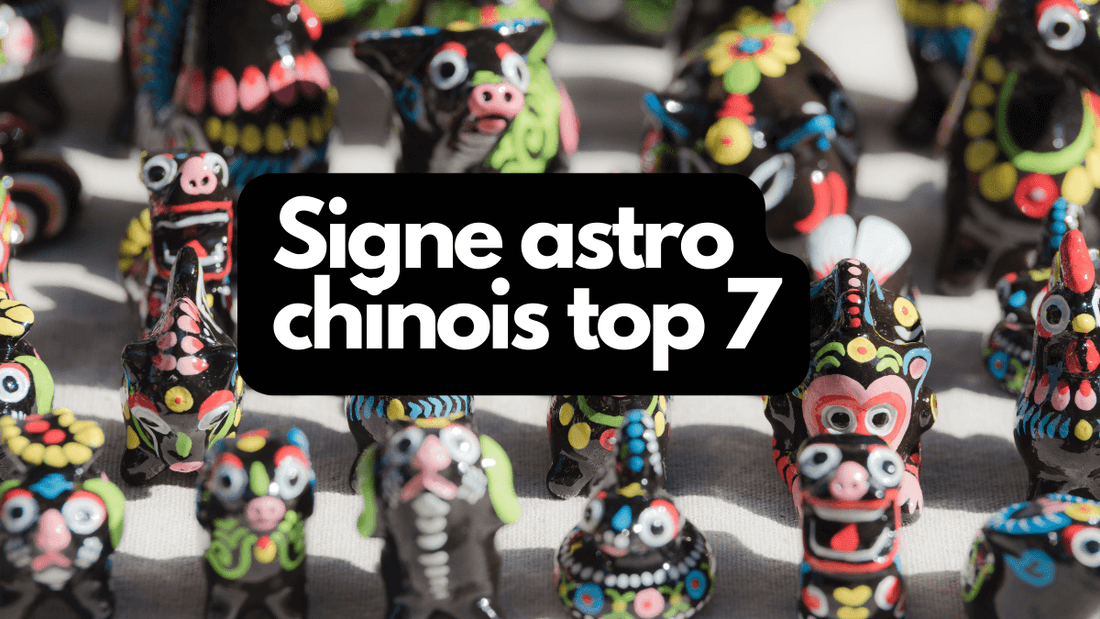 Signe astrologique chinois top 7