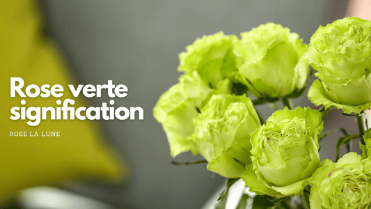 Rose verte signification