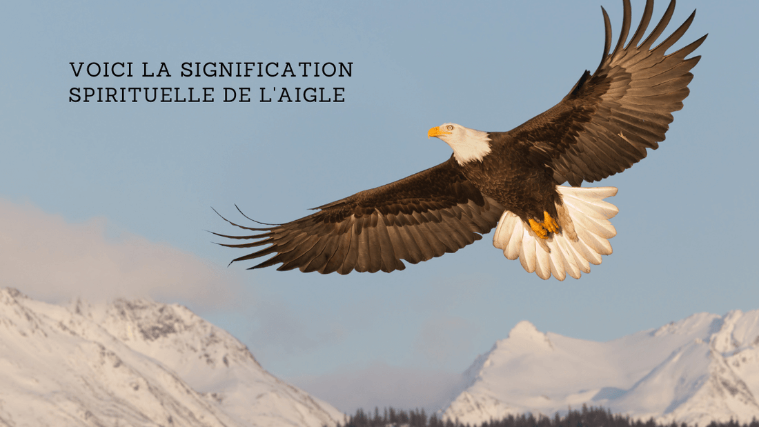 Voici la signification spirituelle de l'aigle