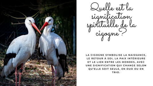 Cigogne signification spirituelle