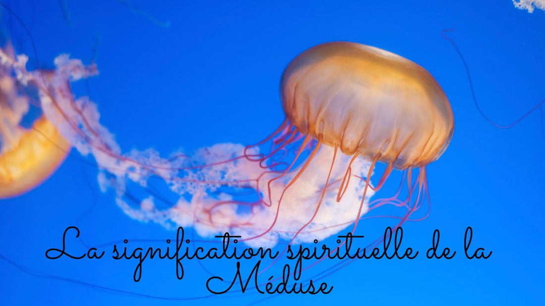 La signification spirituelle de la Méduse