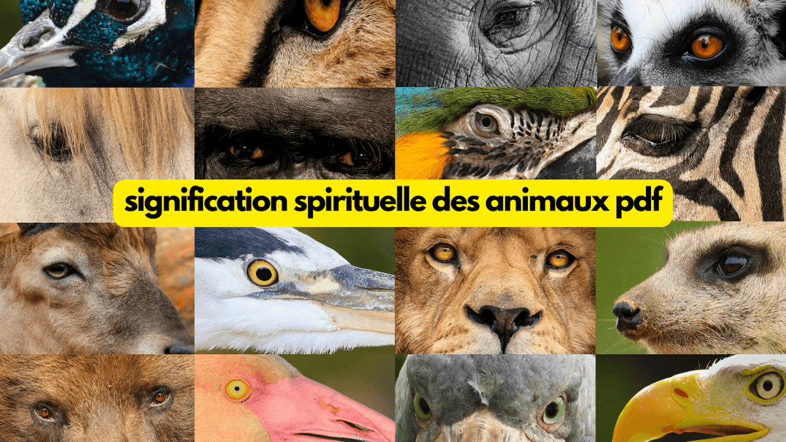 Signification spirituelle des animaux pdf