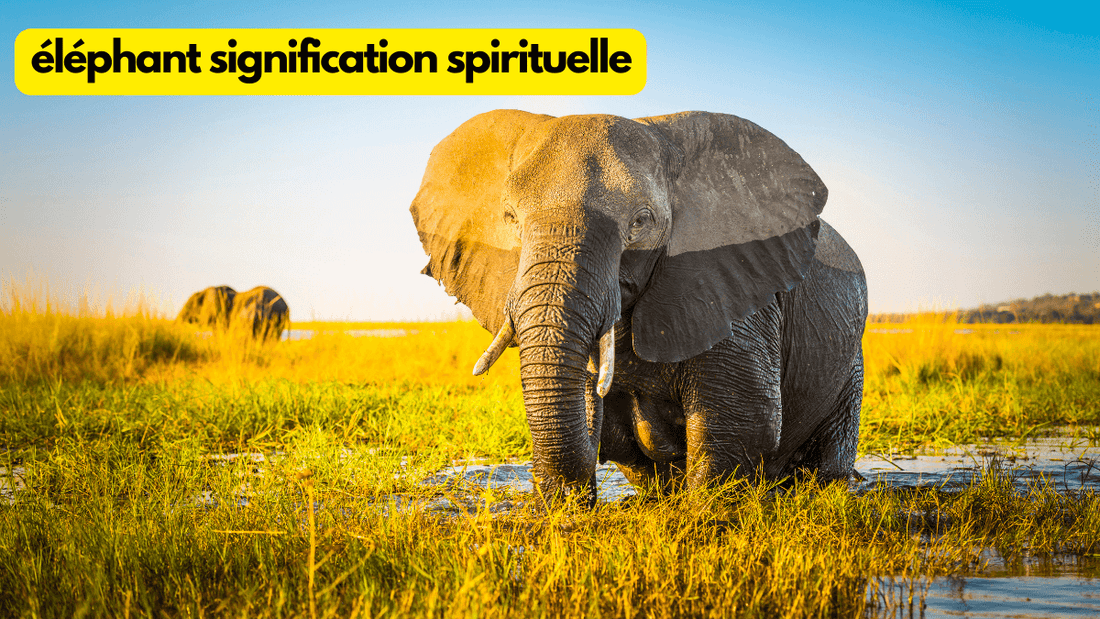 Quelle est la signification spirituelle de l'éléphant?