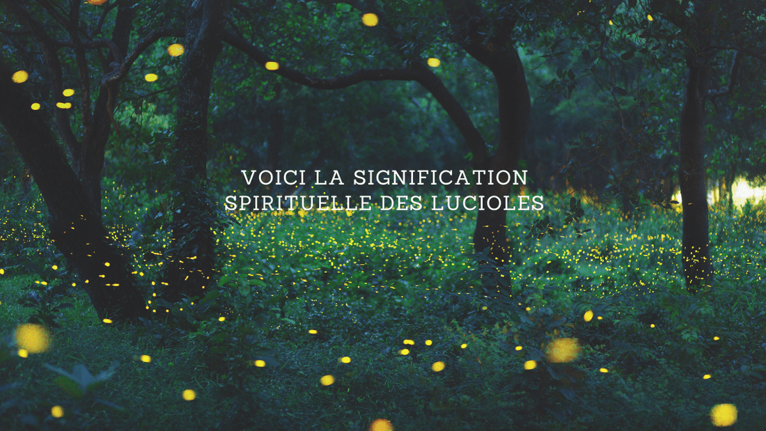 Voici la signification spirituelle des lucioles