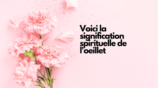 Voici la signification spirituelle de l'oeillet