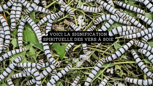 Voici la signification spirituelle des vers à soie