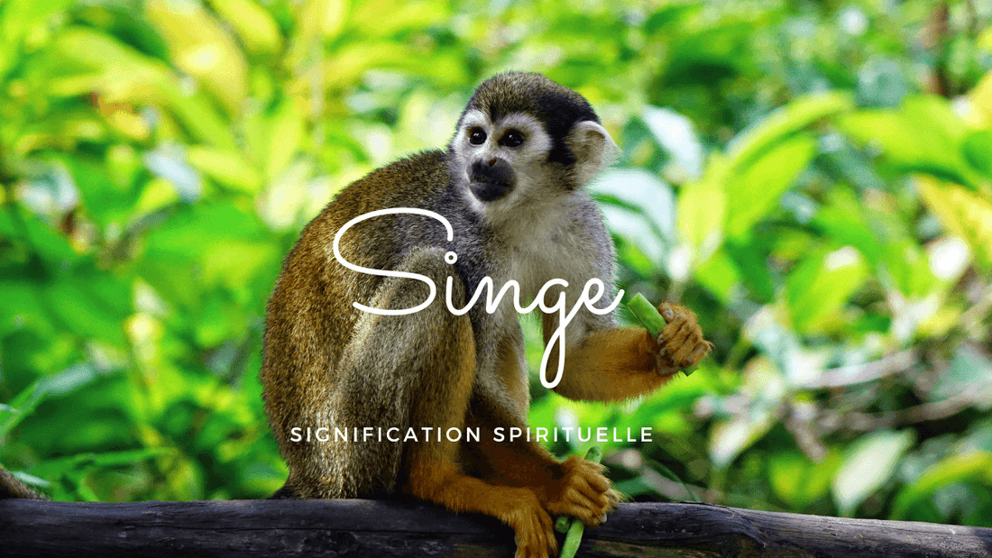 Singe signification spirituelle