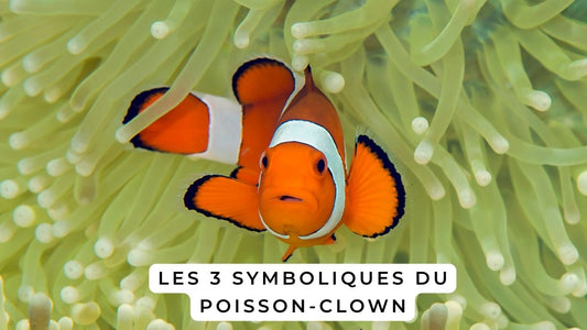 Les 3 symboliques du Poisson-Clown