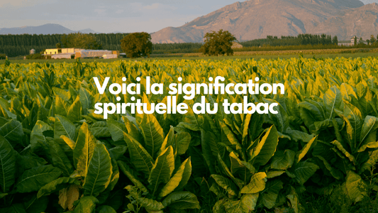 Voici la signification spirituelle du tabac