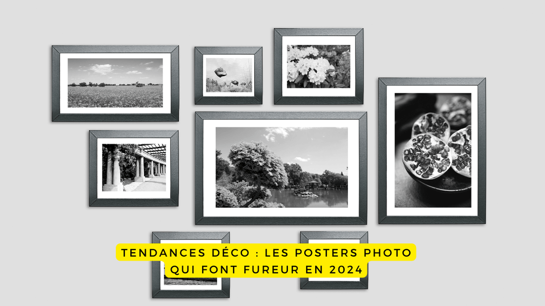 Tendances déco : les posters photo qui font fureur en 2024