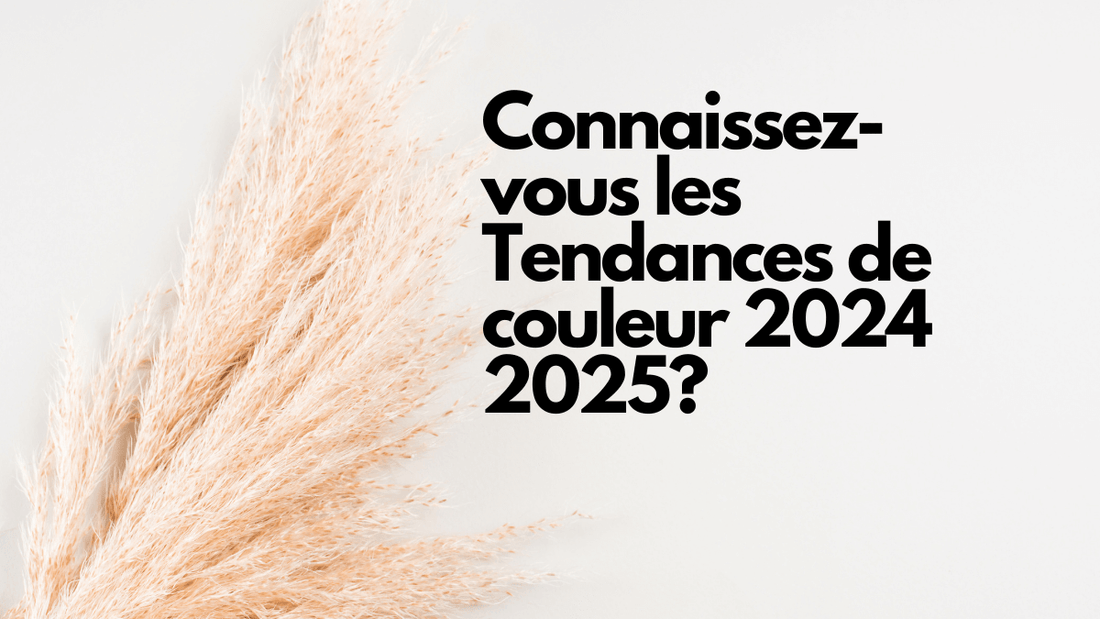 Connaissez-vous les Tendances de couleur 2024 2025?