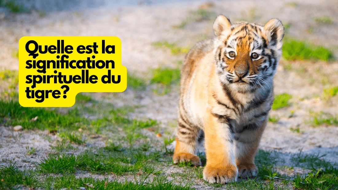 Quelle est la signification spirituelle du tigre?